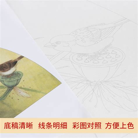 【泾徽堂】工笔画白描底稿荷花花鸟牡丹国画上色步骤教程初学者临摹熟宣纸直接上色狼毫兼毫毛笔国画颜料套装虎窝淘