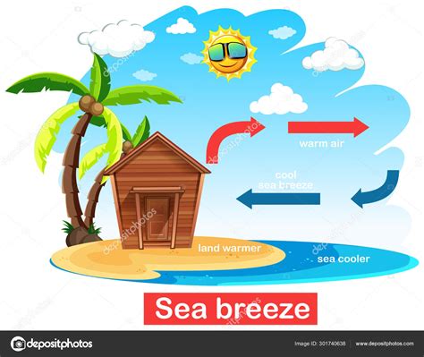 Diagrama Que Muestra La Circulación De La Brisa Marina Vector Gráfico