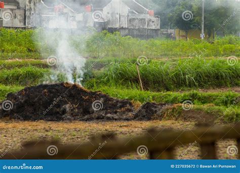 Pollution of Agricultural Products Can Come from Burning Agricultural Waste, Which is Common in ...