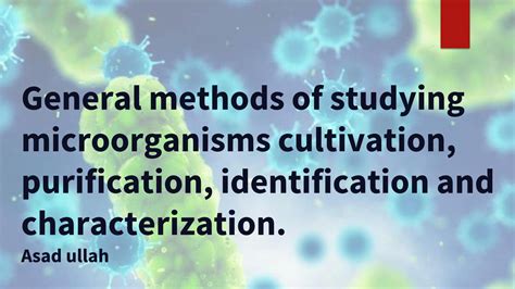 SOLUTION General Methods Of Studying Microorganisms Cultivation