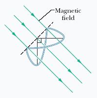 Solved The Figure Below Shows A Closed Loop Of Wire That Chegg