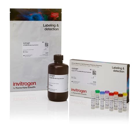 Invitrogen Quant IT DsDNA Assay Kits Hohe Empfindlichkeit HS Und