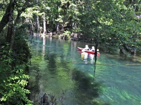 Ichetucknee Springs tubing: Amazing only-in-Florida experience