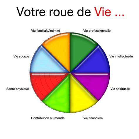 Ci Dessous Est Un Diagramme Montrant La Fameuse Roue De La Vie Cest