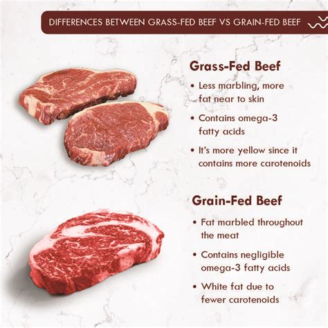 Grass Fed Vs Grain Fed Beef Whats The Difference Beef Grass Fed