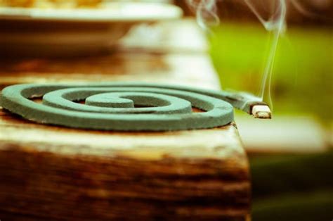 The Relationship Between Buddhism And Incense Buddhism Info