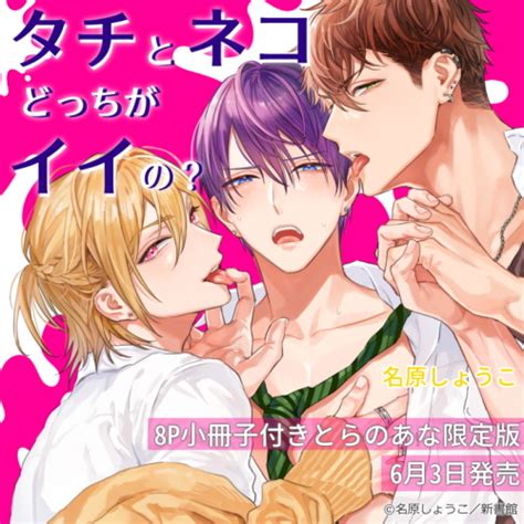 「タチとネコどっちがイイの？」タグ記事一覧 - とらのあな総合インフォメーション