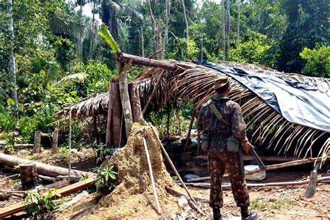 Opera O Verde Brasil Ii Combate Crimes Ambientais Em Rond Nia E Mais