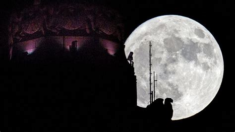 Five myths and facts about Supermoon - News | Khaleej Times