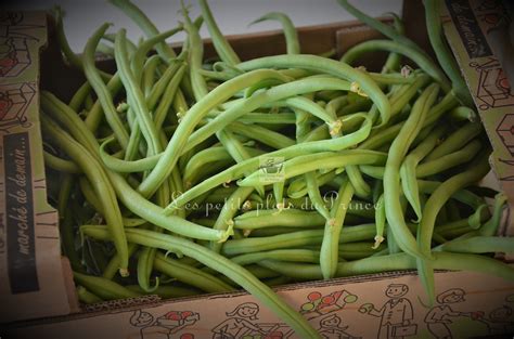 Conserves De Haricots Verts Du Jardin