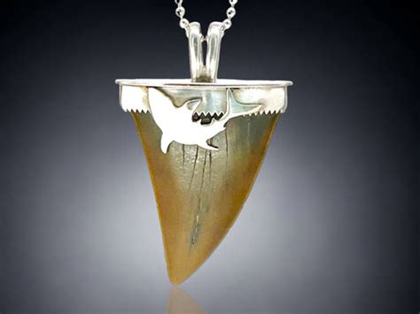 Sterling Silver Capped Shark Tooth Pendant Chsfossiladventures