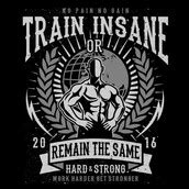 Train Insane T Shirt Design Tshirt Factory