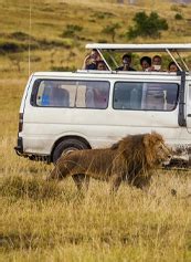 4 Days Masai Mara Luxury Safari Ongeri Expeditions