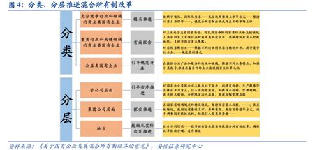 图4：分类、分层推进混合所有制改革行行查行业研究数据库