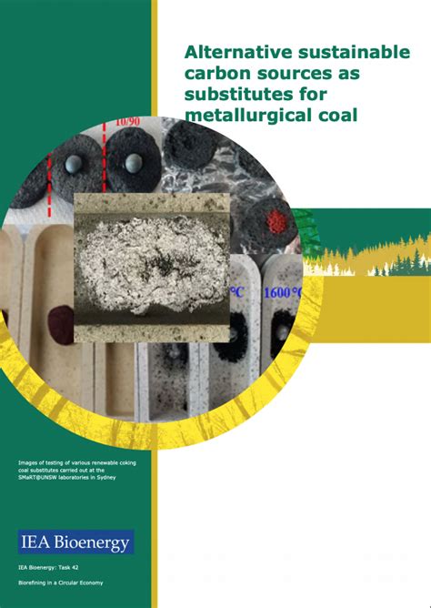 New Publication – Alternative sustainable carbon sources as substitutes ...