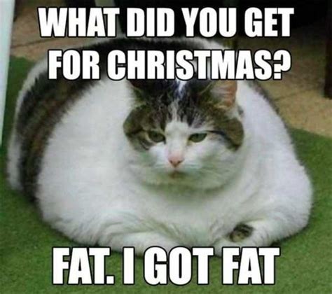 Merry Christmas 2023: 10 funny Xmas memes that will make you laugh out ...