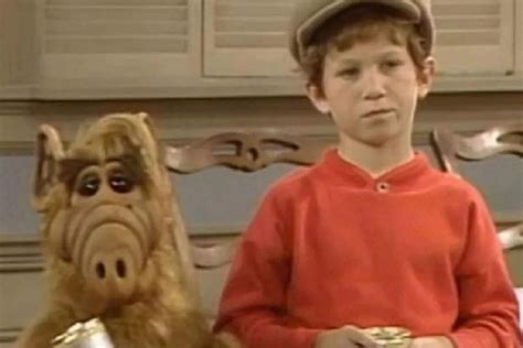 Muere Benji Gregory El Ni O De Alf A Los A Os Y Junto A Su Perro