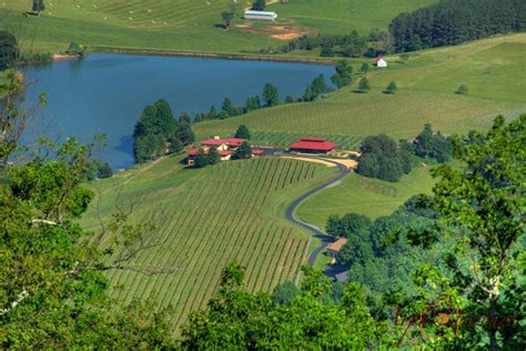 Check Out This Beautiful Spring Shot Of Afton Mountain Vineyards From