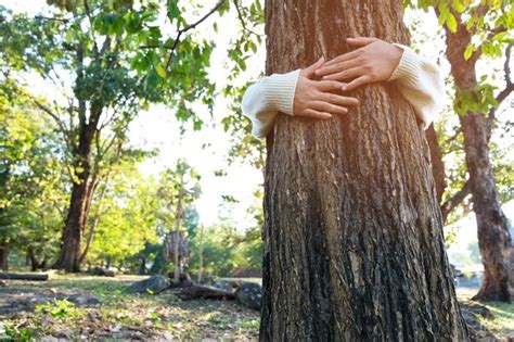 Premium Photo Low Angle View Of Woman Embracing Tree Trunk