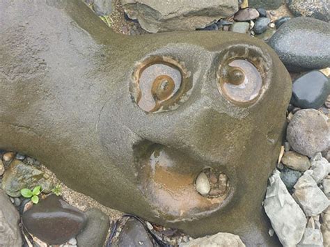 20 Great Examples Of Pareidolia