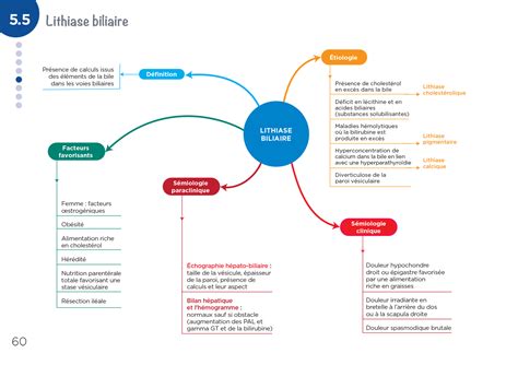 Dipl Me Infirmier Ifsi Cartes Mentales Ue Processus