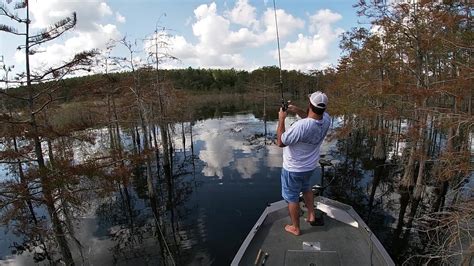 Early Fall Topwater Bite Youtube