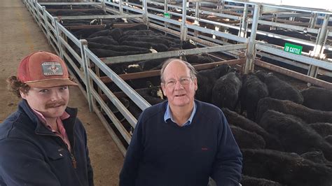 Mortlake Cattle Sale Outcome Shocks Some The Weekly Times