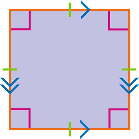 Types Of Quadrilaterals | Quadrilateral Facts | DK Find Out