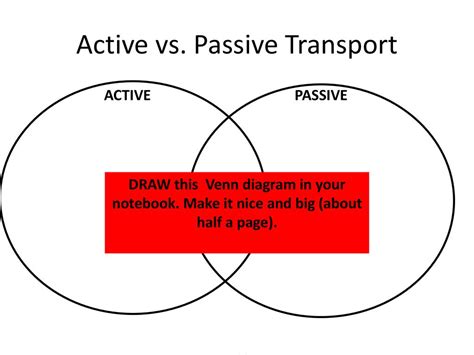 Active Transport Vs Passive Transport Venn Diagram