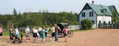 Adventures Of A Naked Cat Naked At Green Gables