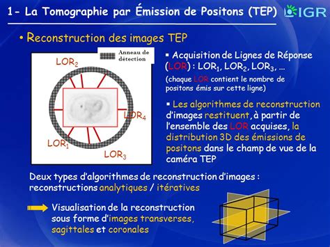 La correction datténuation des images de Tomographie par Émission de