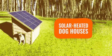 Outdoor Heated And Cooled Dog House at Cory Tack blog