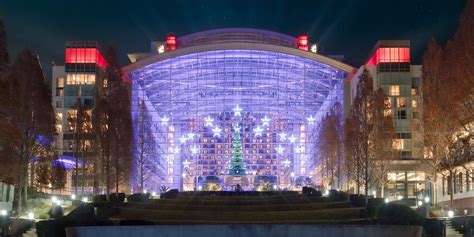 6 Incredible Rinks For Ice Skating In D.C. This Holiday Season - Secret DC