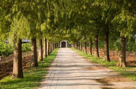 15 Top Texas Wineries You Need to Visit