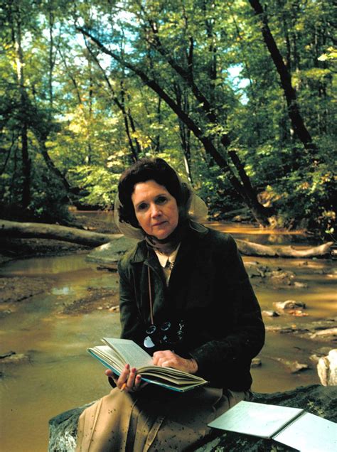 Rachel Carson’s Lessons, 50 Years After ‘Silent Spring’ - The New York