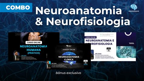 Combo Neuroanatomia E Neurofisiologia Instituto De Neuroci Ncias