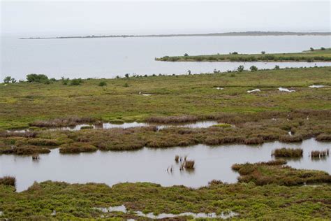 Aransas National Wildlife Refuge - Port Aransas 1streetover travel blog