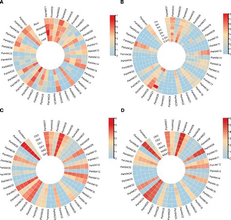 Figure 5 from Genome wide identi ﬁ cation and expression analysis of