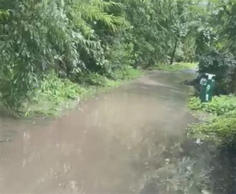 Im Regen sieht man keine Tränen Was gibt es Neues von Eschborns