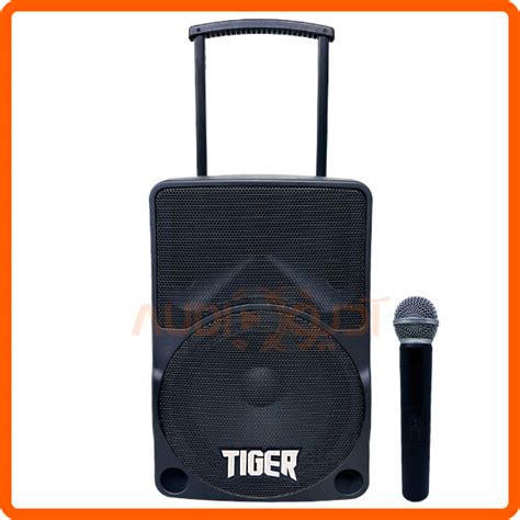 باند پرتابل 10 اینچ شارژی با میکروفن بیسیم Tiger مدل Ev10 آدیوaudiox