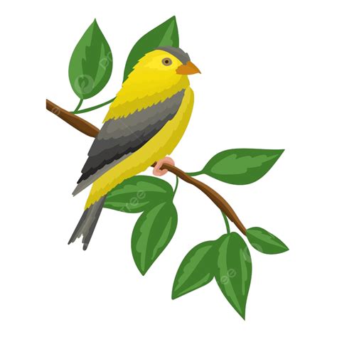 Bird Sitting On Tree Branch Png Vector Psd And Clipart With