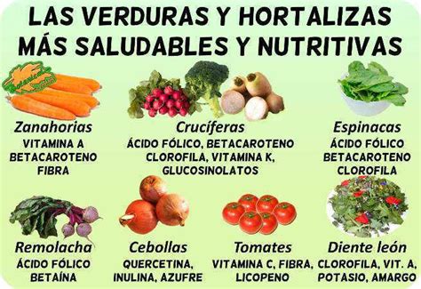 Top 8 De Los Mejores Vegetales Para Tu Salud Beneficios Y Propiedades