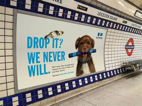 Battersea Dogs & Cats Home: We’re All In, For Them • Ads of the World™ | Part of The Clio Network