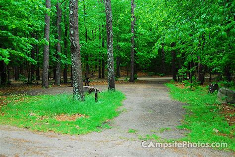 Sebago Lake State Park - Campsite Photos, Camping Info & Reservations