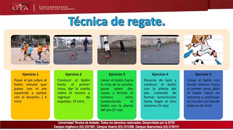 Fundamentos Básicos del Futsal PPT