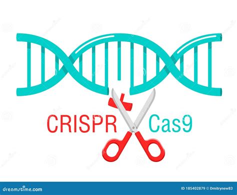 Crispr Cas9 Dna Spiral Cutting Stock Vector Illustration Of Cutting