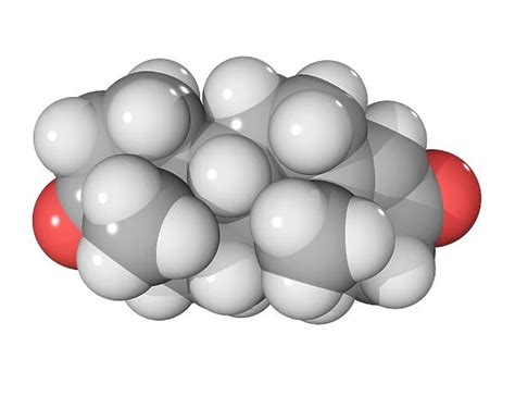 Androstenedione Hormone Molecule Computer Model Showing