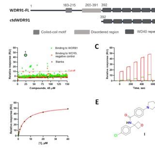 Screening And Hit Validation By SPR A Schematic Representation Of