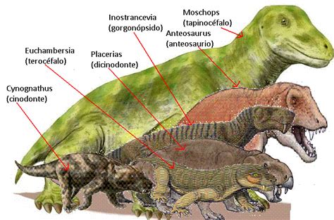 Synapsida Wiki Prehistórico