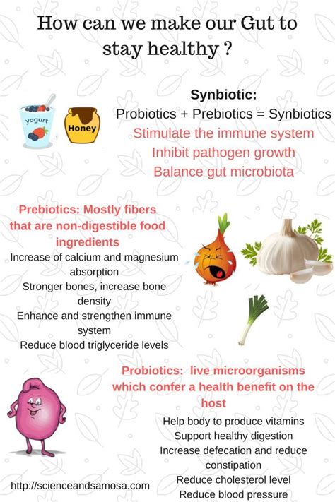 Probiotic Prebiotic And Synbiotics Do We Know What Exactly Are They How To Stay Healthy